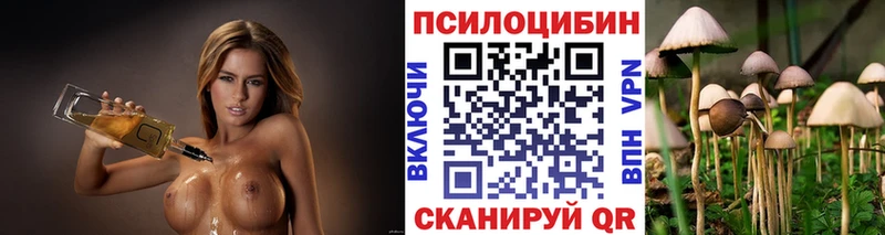 гидра ONION  Сасово  Псилоцибиновые грибы GOLDEN TEACHER 